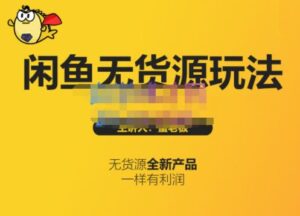 闲鱼无货源最新从入门到高级的教程，最适合新手的互联网创业项目-个人经验技术分享