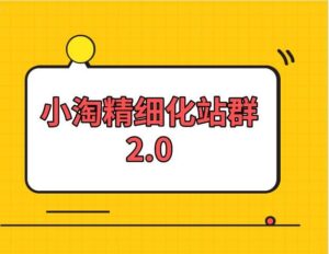 小淘学社实操精细化网站站群项目教程-个人经验技术分享