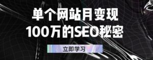 SEO秘密：单个网站每月变现100万，手把手教你做出赚钱的网站-个人经验技术分享