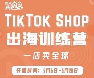 疯人院TikTok Shop出海训练营抢占全球新流量-个人经验技术分享