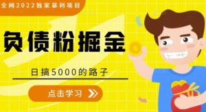 最新独家项目负债粉掘金日赚5000-个人经验技术分享