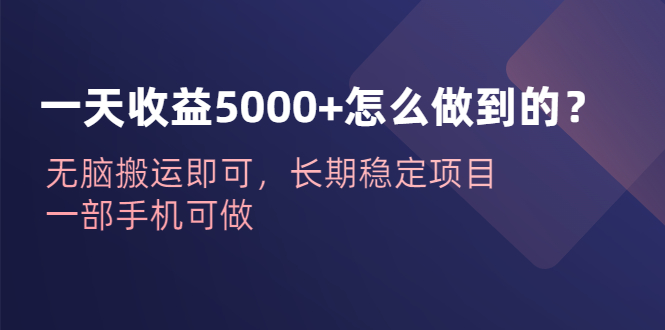 图片[1]-一天收益5000+怎么做到的？无脑搬运即可，长期稳定项目，一部手机可做-阿灿说钱