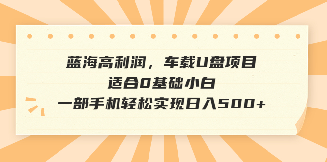 图片[1]-蓝海高利润，车载U盘项目，适合0基础小白，一部手机轻松实现日入500+-阿灿说钱