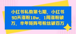 小红书涨粉变现秘籍：小红书90天涨粉18W，1周涨粉破万，半年矩阵号粉丝破百万-个人经验技术分享