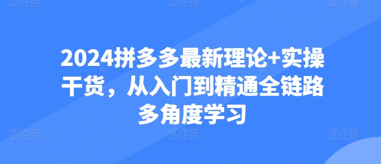 图片[1]-2024拼多多进阶宝典：从防比价到自然流，全攻略实操教学-个人经验技术分享