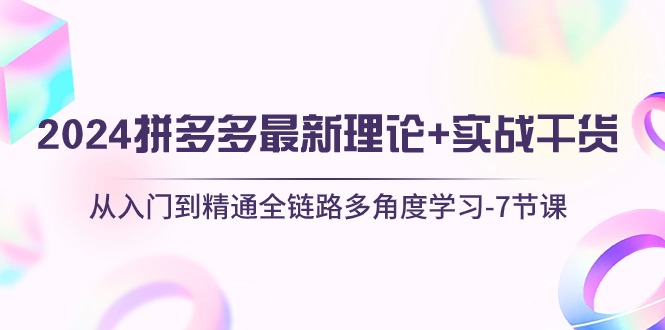 图片[1]-2024拼多多 最新理论+实战干货，从入门到精通全链路多角度学习-7节课-个人经验技术分享