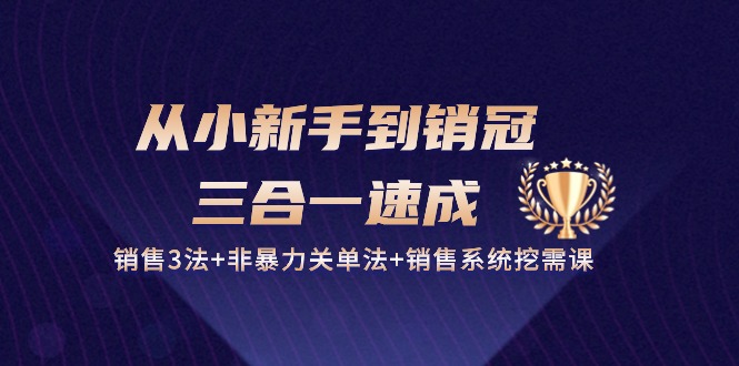 图片[1]-从小新手到销冠 三合一速成：销售3法+非暴力关单法+销售系统挖需课 (27节)-个人经验技术分享