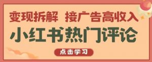 小红书热门评论，变现拆解，接广告高收入【揭秘 】-个人经验技术分享