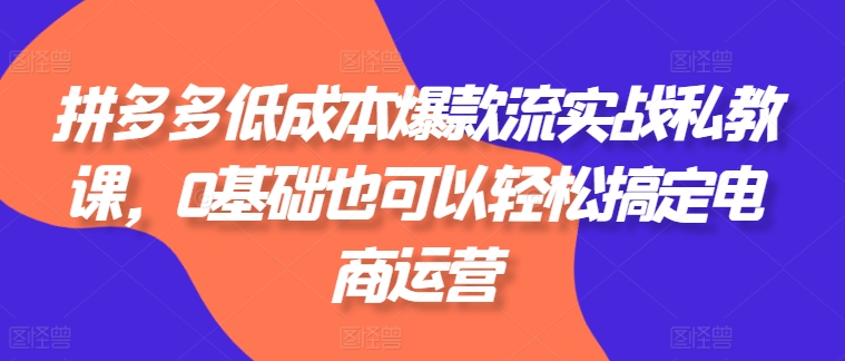 图片[1]-拼多多低成本爆款流实战私教课，0基础也可以轻松搞定电商运营-个人经验技术分享