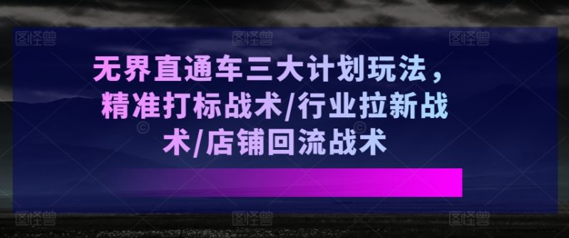 图片[1]-无界直通车三大计划玩法，精准打标战术/行业拉新战术/店铺回流战术-个人经验技术分享