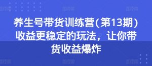 养生号带货训练营(第13期)收益更稳定的玩法，让你带货收益爆炸-个人经验技术分享