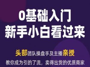 2024年新媒体流量变现运营笔记，教你成为引的了流，卖得出货的优质商家-个人经验技术分享