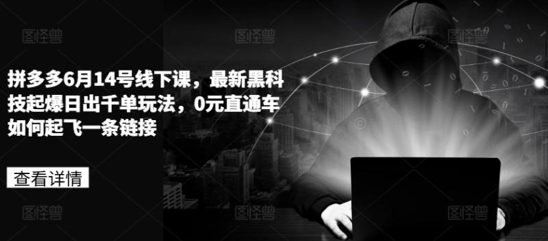 图片[1]-拼多多6月14号线下课，最新黑科技起爆日出千单玩法，0元直通车如何起飞一条链接-个人经验技术分享