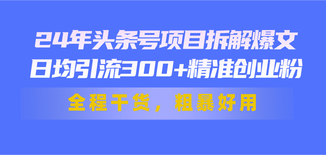 图片[1]-24年头条号项目拆解爆文，日均引流300+精准创业粉，全程干货，粗暴好用-个人经验技术分享