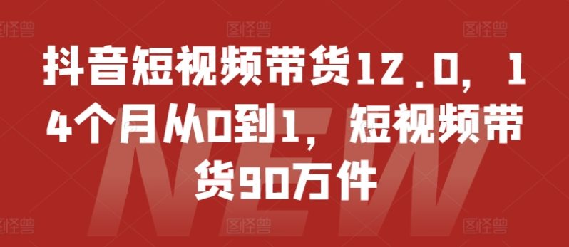 图片[1]-抖音短视频带货12.0，14个月从0到1，短视频带货90万件-个人经验技术分享