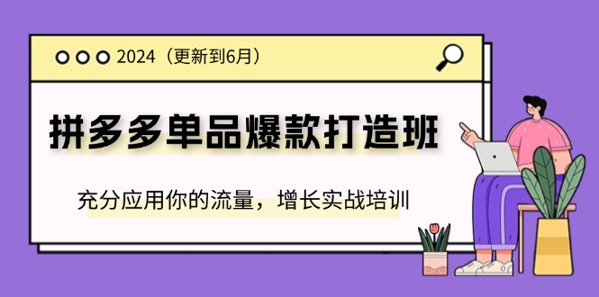 图片[1]-2024拼多多-单品爆款打造班(更新6月)，充分应用你的流量，增长实战培训-个人经验技术分享