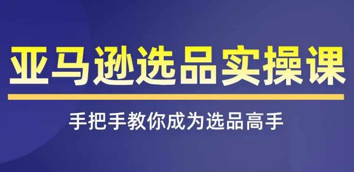 图片[1]-亚马逊选品实操课程，快速掌握亚马逊选品的技巧，覆盖亚马逊选品所有渠道-个人经验技术分享