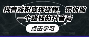 抖音涨粉变现课程，带你做一个赚钱的抖音号-个人经验技术分享