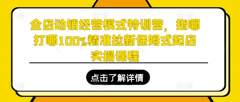 图片[1]-全店动销经营模式特训营，指哪打哪100%精准拉新保姆式起店实操课程-个人经验技术分享