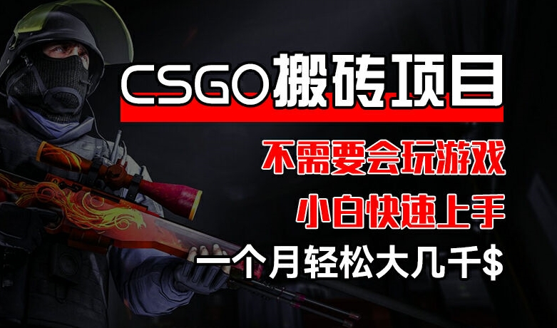 图片[1]-CSGO 装备搬砖项目，操作简单，不需要会玩游戏，小白也能快速上手，一个月轻松大几千【揭秘】-个人经验技术分享