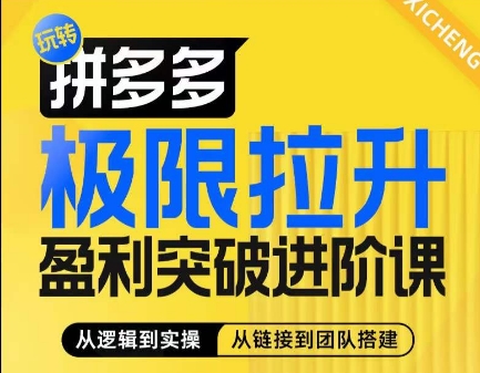 图片[1]-拼多多极限拉升盈利突破进阶课，​从算法到玩法，从玩法到团队搭建，体系化系统性帮助商家实现利润提升-个人经验技术分享