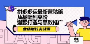 拼多多运最新营秘籍：业绩 增长实战课，从基础到高阶，爆款打造与高效推广-个人经验技术分享