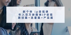 创新个体 ip变现课，年入百万新媒体IP变现，路径篇+流量篇+产品篇-个人经验技术分享