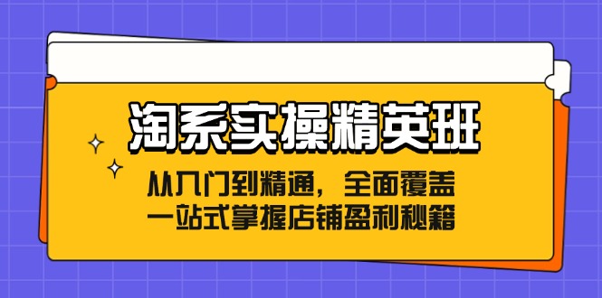 图片[1]-淘系实操精英班：从入门到精通，全面覆盖，一站式掌握店铺盈利秘籍-个人经验技术分享