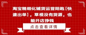 淘宝精细化铺货运营陪跑【快速出单】，草根没有货源，也能开店挣钱-个人经验技术分享