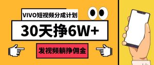 VIVO短视频分成计划30天6W+-个人经验技术分享