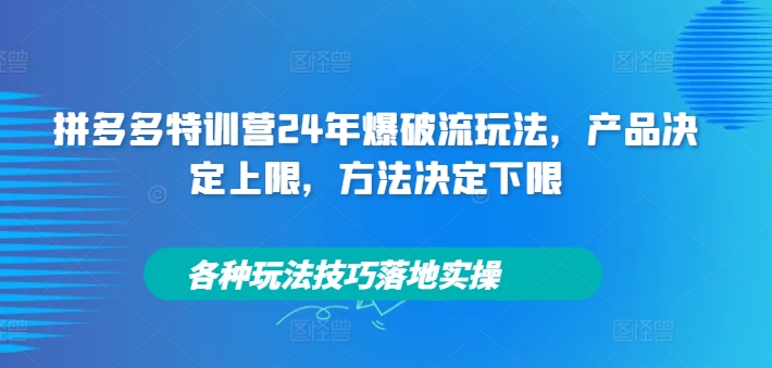 图片[1]-拼多多特训营24年爆破流玩法，产品决定上限，方法决定下限，各种玩法技巧落地实操-个人经验技术分享