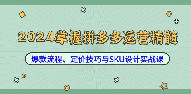 图片[1]-2024掌握拼多多运营精髓：爆款流程、定价技巧与SKU设计实战课-个人经验技术分享