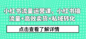 小红书流量运营课，小红书搞流量+高效卖货+私域转化-个人经验技术分享