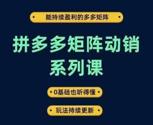 图片[1]-拼多多矩阵动销系列课，能持续盈利的多多矩阵，0基础也听得懂，玩法持续更新-个人经验技术分享