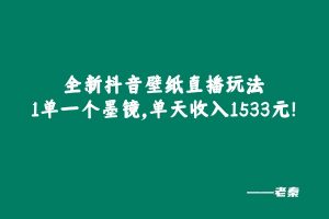 全新抖音壁纸直播玩法，1单一个墨镜，单天收入1533元-个人经验技术分享