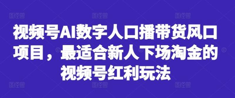 图片[1]-视频号AI数字人口播带货风口项目，最适合新人下场淘金的视频号红利玩法-个人经验技术分享