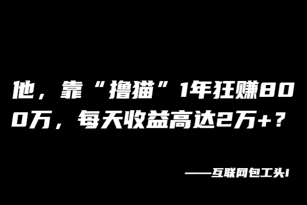 图片[2]-他，靠“撸猫”1年狂赚800万，每天收益高达2万+？-个人经验技术分享