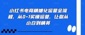 小红书电商精细化运营全流程，从0-1实操运营，让你从小白到精英-个人经验技术分享