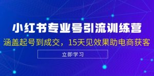 小红书专业号引流陪跑课，涵盖起号到成交，15天见效果助电商获客-个人经验技术分享