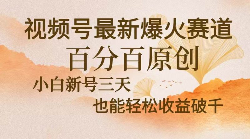 图片[1]-视频号最新爆火赛道，中老年粉深信不疑，百分百原创，新号三天收益轻松…-个人经验技术分享