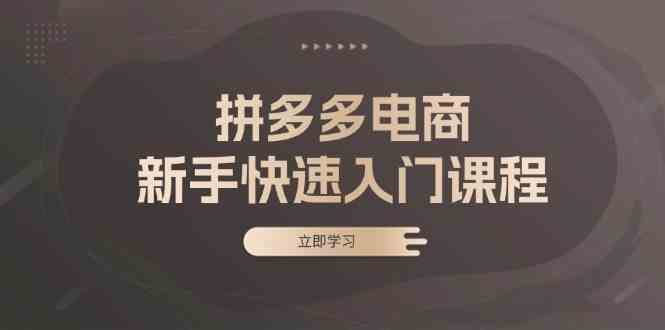 图片[1]-拼多多电商新手快速入门课程：涵盖基础、实战与选款，助力小白轻松上手-个人经验技术分享