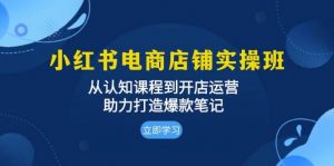 小红书电商店铺实操班：从认知课程到开店运营，助力打造爆款笔记-个人经验技术分享