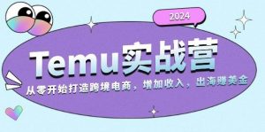 2024Temu实战营：从零开始打造跨境电商，增加收入，出海赚美金-个人经验技术分享