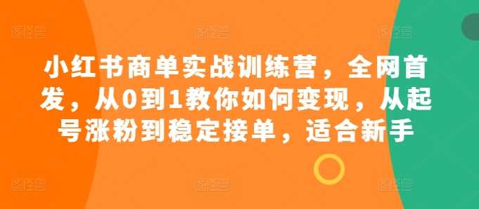 图片[1]-小红书商单实战训练营，全网首发，从0到1教你如何变现，从起号涨粉到稳定接单，适合新手-个人经验技术分享