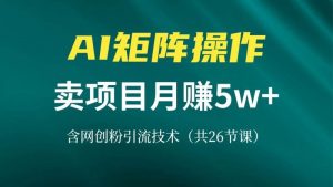 网创IP打造课，借助AI卖项目月赚5万+，含引流技术（共26节课）-个人经验技术分享