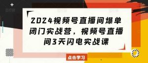 2024视频号直播间爆单闭门实战营，视频号直播间3天闪电实战课-个人经验技术分享