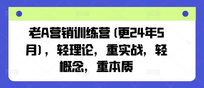 老A营销训练营(更24年12月)，轻理论，重实战，轻概念，重本质 -1