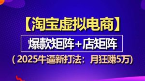 【淘宝虚拟项目】2025牛逼新打法：爆款矩阵+店矩阵，月狂赚5万-个人经验技术分享