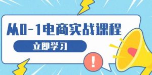 从零做电商实战课程，教你如何获取访客、选品布局，搭建基础运营团队-个人经验技术分享