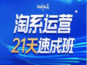 淘系运营21天速成班35期，年前最后一波和2025方向-个人经验技术分享